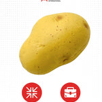Alpi Squish Toys – Soft Squeeze Toys for Kids and Adults – Realistic Fake Food Stress Ball, a Funny Gift Idea for Home or Office - Potato Stress Reliever