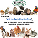 Exotic Nutrition Baby Squirrel Nursing Set (Basic) - Milk Replacer, Feeding Syringes