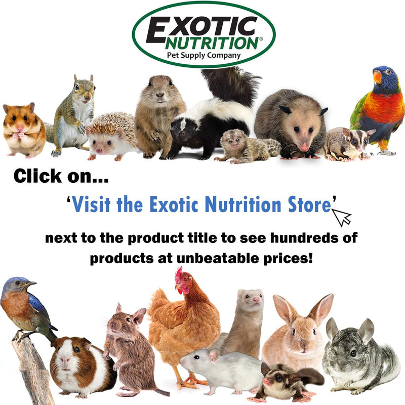 Exotic Nutrition Baby Squirrel Nursing Set (Basic) - Milk Replacer, Feeding Syringes