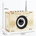 STEM DIY Electronics Kit for Kids 6-14, Building Your Own Radio with 3D Puzzle and Circuit Engineering, Gift for Boys and Girls