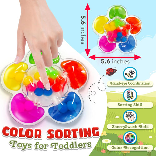 Color Sorting Sensory Toy for Autism with Color Matching Fidget Toy for Kids Ages 1-3