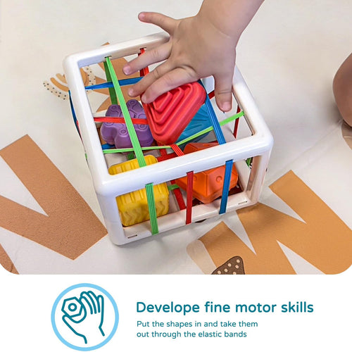 LiKee Montessori shape sorter toys for 1 year old, 6pcs multi sensory shapes, 12+ months developmental learning