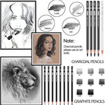 PANDAFLY Drawing Sketching Pencil Set, 22 Piece Pro Art Pencil Kit - Graphite Pencils (12B-2H), Black and White Charcoal Pencils, Charcoal Sticks, Stumps, Eraser, Sharpeners