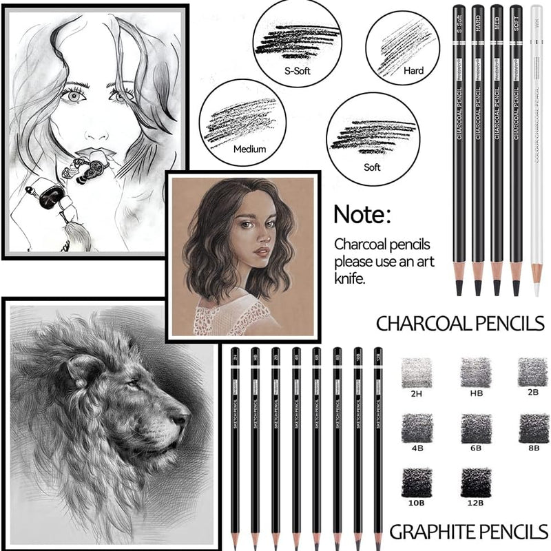 PANDAFLY Drawing Sketching Pencil Set, 22 Piece Pro Art Pencil Kit - Graphite Pencils (12B-2H), Black and White Charcoal Pencils, Charcoal Sticks, Stumps, Eraser, Sharpeners
