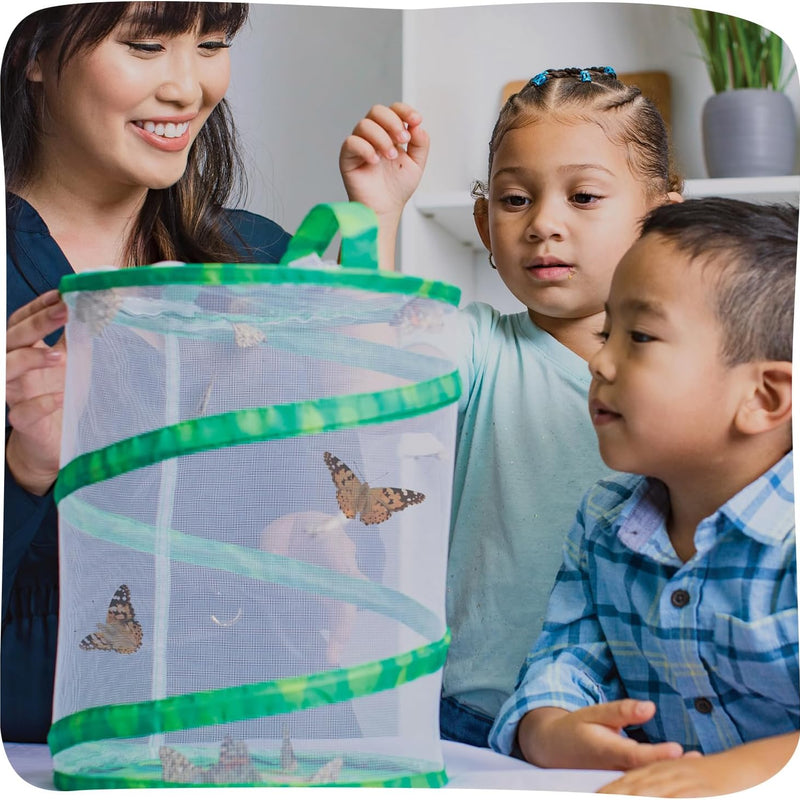 Insect Lore Painted Lady Butterfly Garden with 10 Live Baby Caterpillars and STEM Journal