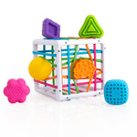 Fat Brain Toys InnyBin Shape Learning Sensory Toy | Grasping and shape-learning activity. Fine motor skills, sensory learning, spatial reasoning. Babies, toddlers, 10 months+.