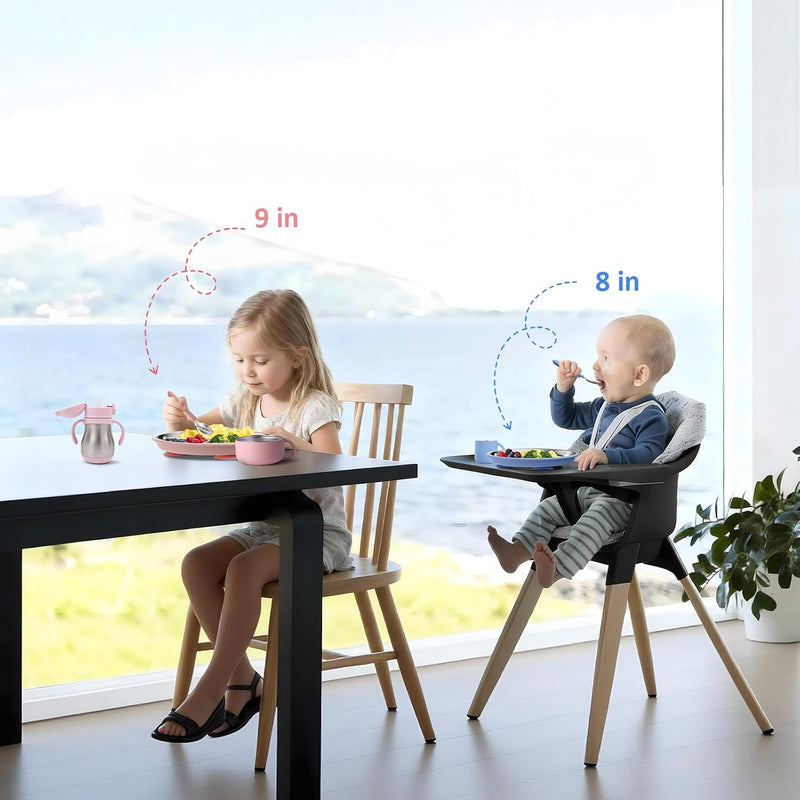 Bakpoco Stainless Steel Toddler Plate with Suction, 9” Divided Plates with Removable Silicone Sleeves for Kids, Non Toxic & BPA Free | Non Slip | Unbreakable Baby Snack Dishes Set of 2, Blue & Gray