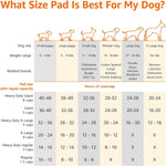Amazon Basics Scented Dog and Puppy Potty Training Pee Pads, 5-Layer Leak-Proof Super Absorbent with Quick-Dry Surface, Regular Size 22 x 22 Inch, Blue, 150 Count