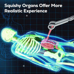 GobiDex 40-Piece Anatomy Figure, Glow-in-the-Dark Bones, STEM Educational Toy for Kids Ages 8+