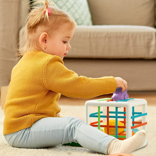 Montessori Sensory Cube Toy for Toddlers | 6 Shape Blocks for Learning, Developmental Birthday Gifts for 1-3 Years Old Baby