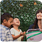 Insect Lore Raise and Release Butterfly Garden Kit - STEM-Accredited Butterfly Growing Kit for Kids, Classrooms, and Homeschool