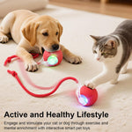 Smart Interactive Automatic Electric Rolling Moving Rechargeable Motion Activated Self Play Electronic Stimulation Chase Teaser Ball Toy with Rope for Indoor Bored Adult Cat and Dog Not Chewing, Pink