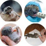 Exotic Nutrition Baby Squirrel Nursing Set (Basic) - Milk Replacer, Feeding Syringes