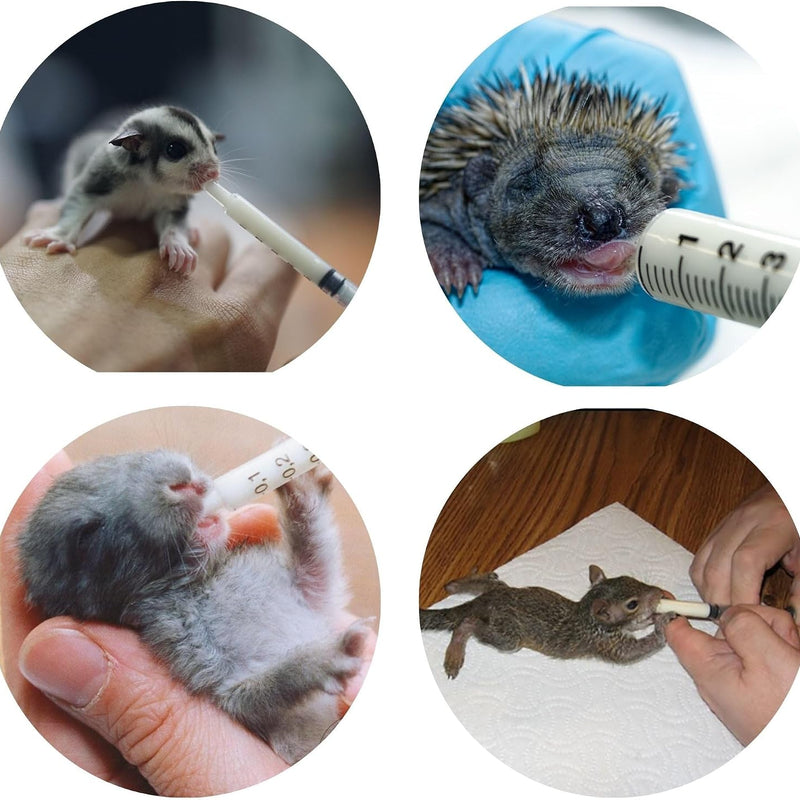 Exotic Nutrition Baby Squirrel Nursing Set (Basic) - Milk Replacer, Feeding Syringes