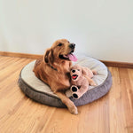 LotFancy Dog Stuffed Animals Plush, 21" Soft Cuddly Golden Retriever Plush Toys, Large Stuffed Dog, Puppy Dog Stuffed Animals, Easter Birthday Gift for Kids Girls Boys