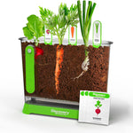 Discovery Edible Veggie Garden Watch-It-Grow Kit for Kids, DIY STEM Activity with 11-Piece Science Kit