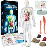 GobiDex 40-Piece Anatomy Figure, Glow-in-the-Dark Bones, STEM Educational Toy for Kids Ages 8+