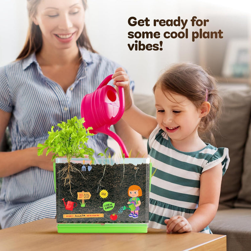 Dan&Darci root viewer kit for kids, grow your own plant, science STEM toy, craft gardening kit for ages 4-8