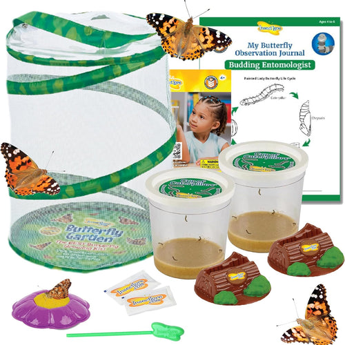 Insect Lore Painted Lady Butterfly Garden with 10 Live Baby Caterpillars and STEM Journal