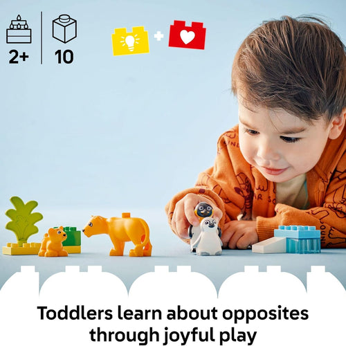 LEGO DUPLO Wild Animal Families Penguins & Lions Building Toy Playset for Preschool Learning and Educational Animal Toy