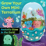 Kids' Axolotl Terrarium STEM Science Kit, Arts and Crafts, Indoor Gardening for Girls (Ages 6+) - Spring Gifts & DIY Toys