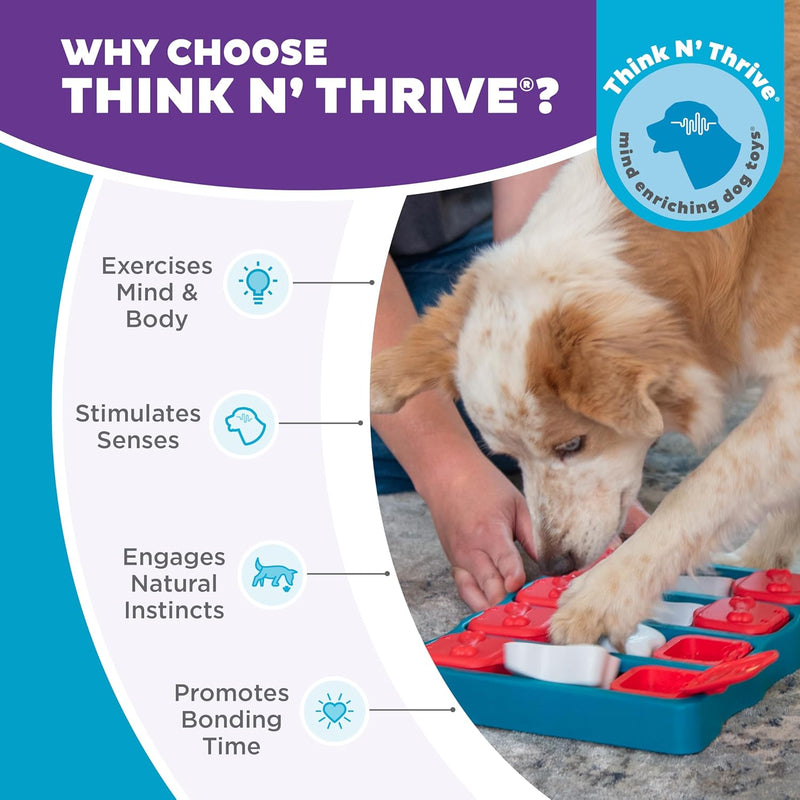 Interactive dog puzzle by Outward Hound and Nina Ottosson, level 2 intermediate, 3-in-1 challenge, slow feeder, boredom buster