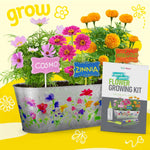 Dan&Darci Paint & Plant Flower Growing Kit for Kids - Perfect for Ages 5-12, a Fun and Educational Gift