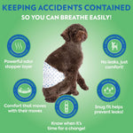 OUT! PetCare Male Dog Diapers, Disposable Belly Bands, XS/S, 32 Count | Dog Belly Bands, Potty Training, Incontinence Support, Leak Proof, Disposable Wraps, Male Wrap, Puppy Essentials, Dog Wrap