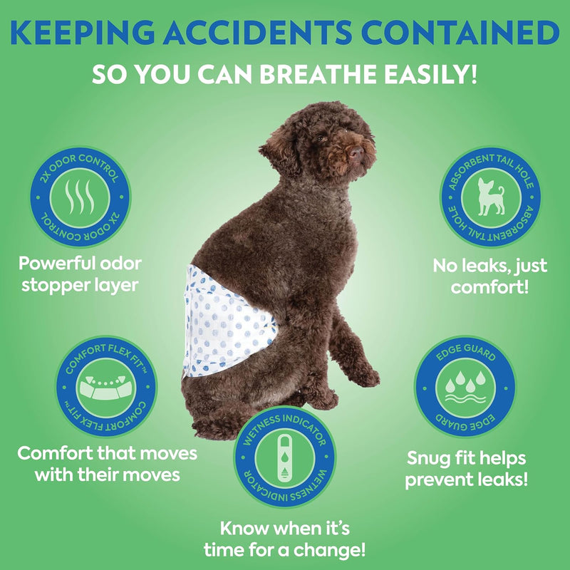OUT! PetCare Male Dog Diapers, Disposable Belly Bands, XS/S, 32 Count | Dog Belly Bands, Potty Training, Incontinence Support, Leak Proof, Disposable Wraps, Male Wrap, Puppy Essentials, Dog Wrap