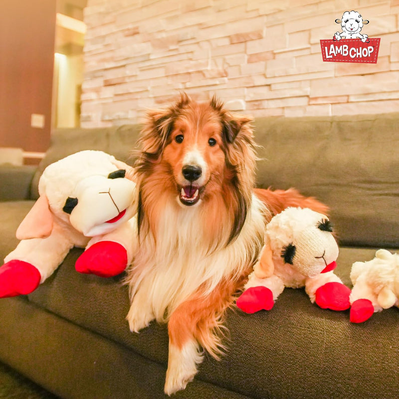 Multipet Lamb Chop Dog Plush Toy - Squeaky Toy for All Dogs - Extra Soft Plush - Stuffed Animal for Cuddling & Playing - Jumbo (24", Cream)