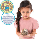 TigerHart Reuben The Rat - 7 Inch Stuffed Animal Plush Mouse