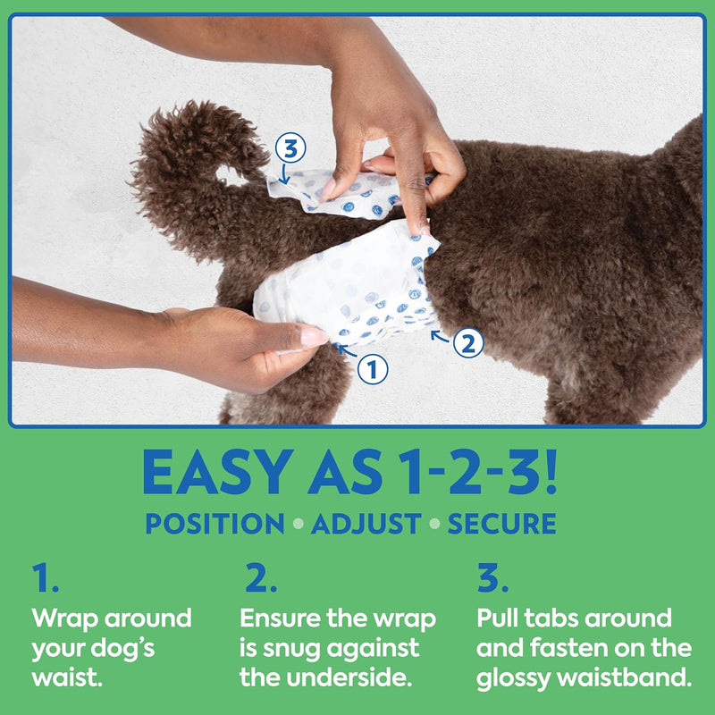 OUT! PetCare Male Dog Diapers, Disposable Belly Bands, XS/S, 32 Count | Dog Belly Bands, Potty Training, Incontinence Support, Leak Proof, Disposable Wraps, Male Wrap, Puppy Essentials, Dog Wrap