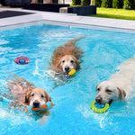 MEWTOGO 4 Pcs Dog Pool Floating Toys - Squeaky Dog Water Toys, Safe Durable TPR Interactive Dogs Toys for Aggressive Chewers Large Fetching Playing