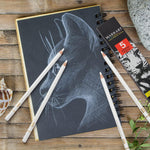 MARKART Professional White Charcoal Pencils Set, 5 Pieces Sketch Highlight Charcoal Pencils for Drawing, Sketching, Shading, Blending, White Chalk Pencils for Beginners & Artists