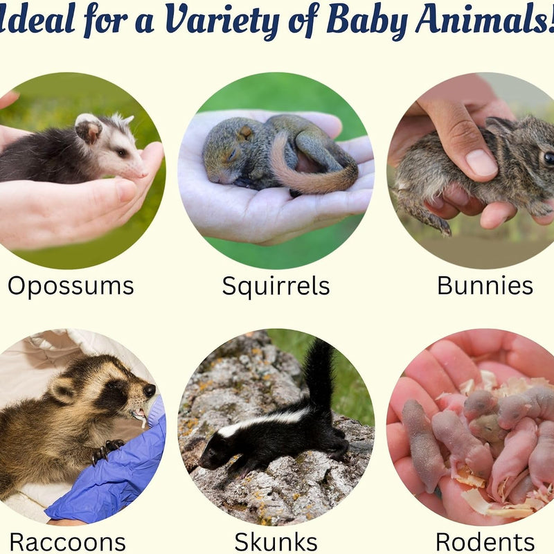 Exotic Nutrition Baby Squirrel Nursing Set (Basic) - Milk Replacer, Feeding Syringes