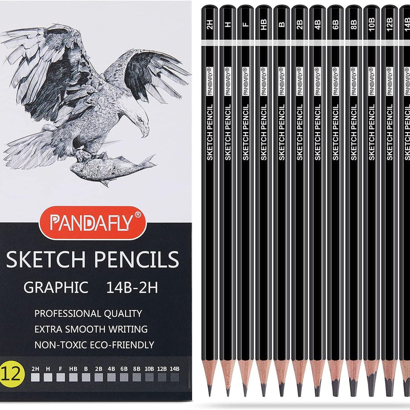 PANDAFLY Drawing Sketching Pencil Set, 22 Piece Pro Art Pencil Kit - Graphite Pencils (12B-2H), Black and White Charcoal Pencils, Charcoal Sticks, Stumps, Eraser, Sharpeners
