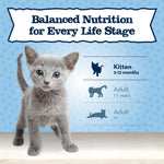 Blue Buffalo Baby Blue Chicken Kitten Natural Dry Cat Food, 2 lb | Real Chicken #1 Ingredient Plus Brown Rice, with DHA for Cognitive Development, Antioxidant-Rich LifeSource Bits