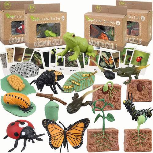 Montessori learning toys for kids, life cycle figurines, 3D objects, educational gift for 3-5 year olds
