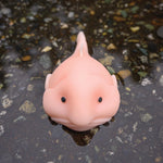 Accoutrements Sunny The Blobfish - Novelty Toy- Squishy Toy