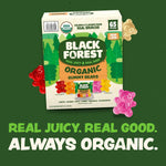 Black Forest USDA Organic Gummy Bears - 65 Pouches - .0.8Oz Each