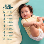 Pampers Gift Set, Disposable Diapers, Sensitive Wipes, & Milestone Gifts