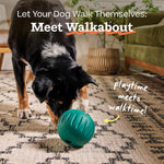 WOOF Walkabout - Enrichment Dog Toys Puzzle and Treat Dispenser - Adjustable Difficulty for Kibble and Treats - Durable Rubber - Easy to Clean - Small