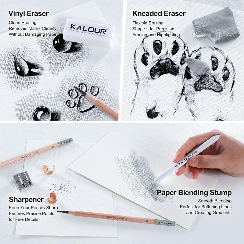 KALOUR 18-Piece Professional Sketch Pencil Set - Includes 5H to 14B Pencils, Vinyl Eraser, Kneaded Eraser,Sharpener and Paper Blending Stump - Ideal for Artists and Beginners