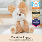 GUND Baby Peeki the Puppy Animated Plush, Singing Stuffed Animal, Sensory Toy for Babies and Toddlers, Plays Peek-a-Boo and Sings, Brown/Cream, 12”