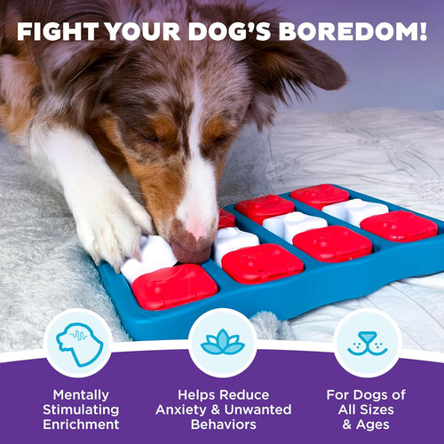 Interactive dog puzzle by Outward Hound and Nina Ottosson, level 2 intermediate, 3-in-1 challenge, slow feeder, boredom buster