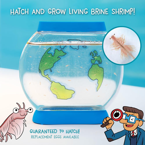 Wow in the World SEA Creatures Aquarium STEM Toy for Kids 6+ with Brine Shrimp and Customizable Tank