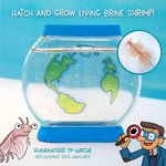 Wow in the World SEA Creatures Aquarium STEM Toy for Kids 6+ with Brine Shrimp and Customizable Tank