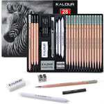 KALOUR 18-Piece Professional Sketch Pencil Set - Includes 5H to 14B Pencils, Vinyl Eraser, Kneaded Eraser,Sharpener and Paper Blending Stump - Ideal for Artists and Beginners