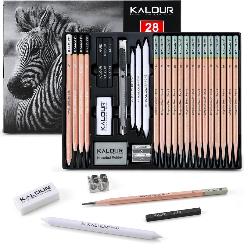 KALOUR 18-Piece Professional Sketch Pencil Set - Includes 5H to 14B Pencils, Vinyl Eraser, Kneaded Eraser,Sharpener and Paper Blending Stump - Ideal for Artists and Beginners