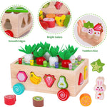 Montessori Wooden Educational Toys: Shape Sorting, Fruit Recognition, and Fine Motor Skills for 1-3 Year Olds